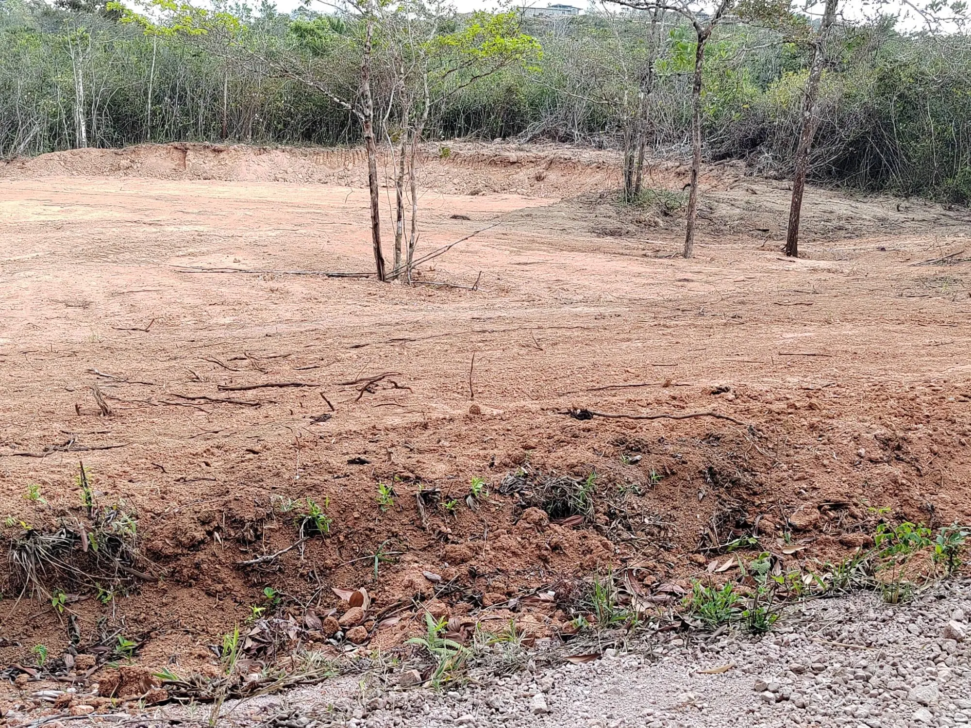 Lote #3 La Candelaria - Photo 17