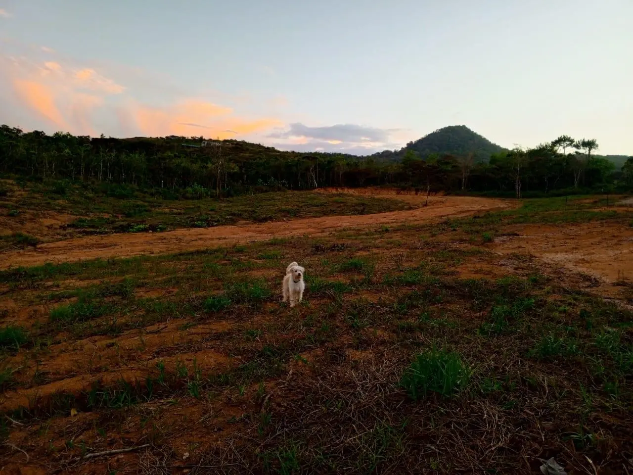 Lote #3 La Candelaria - Photo 32