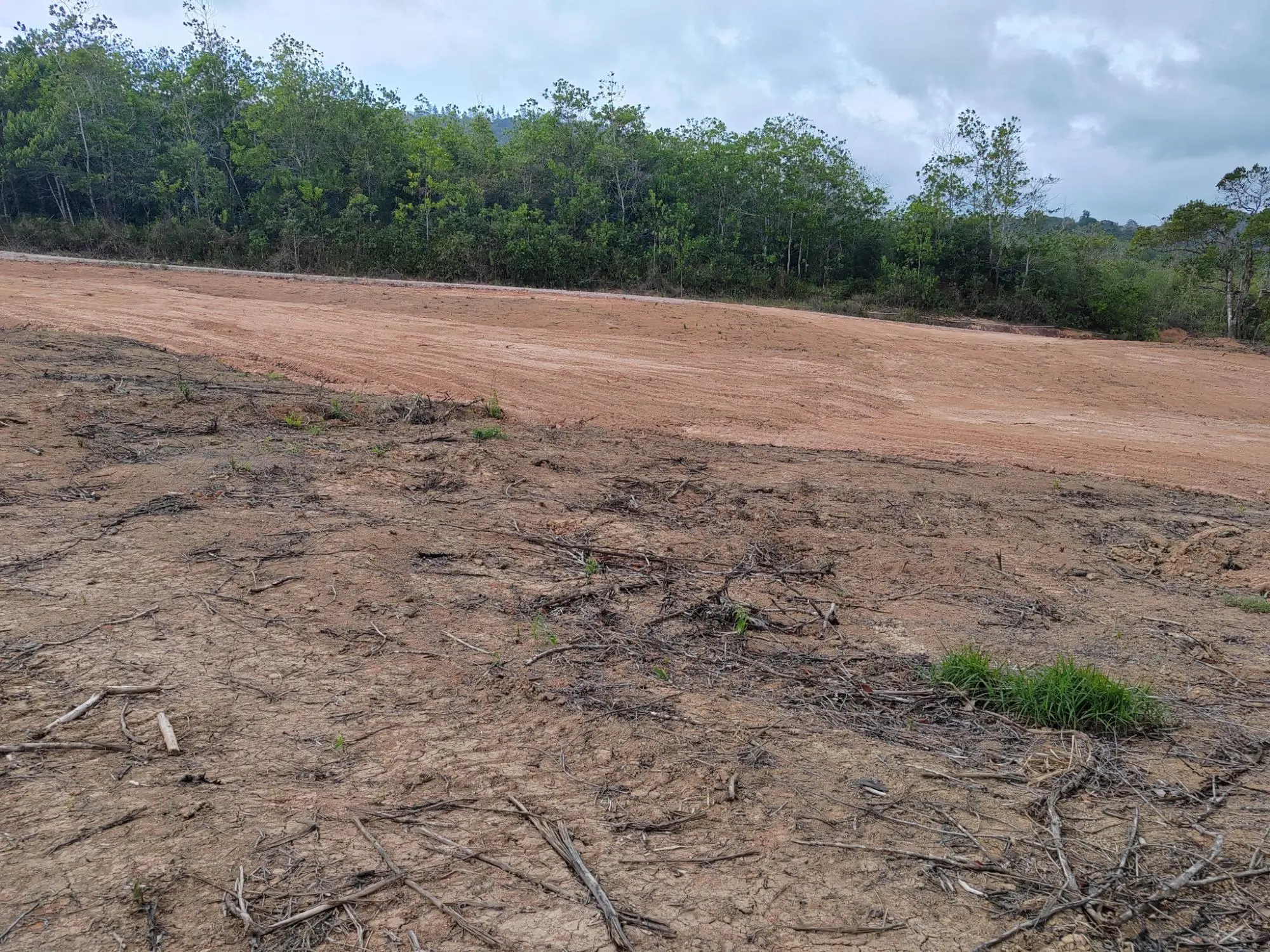 Lote #3 La Candelaria - Photo 10