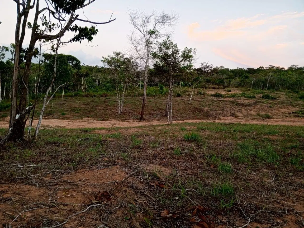 Lote #3 La Candelaria - Photo 30