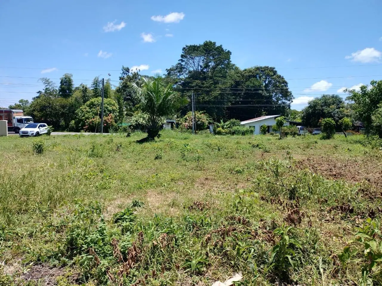 Veladero, David - Photo 45