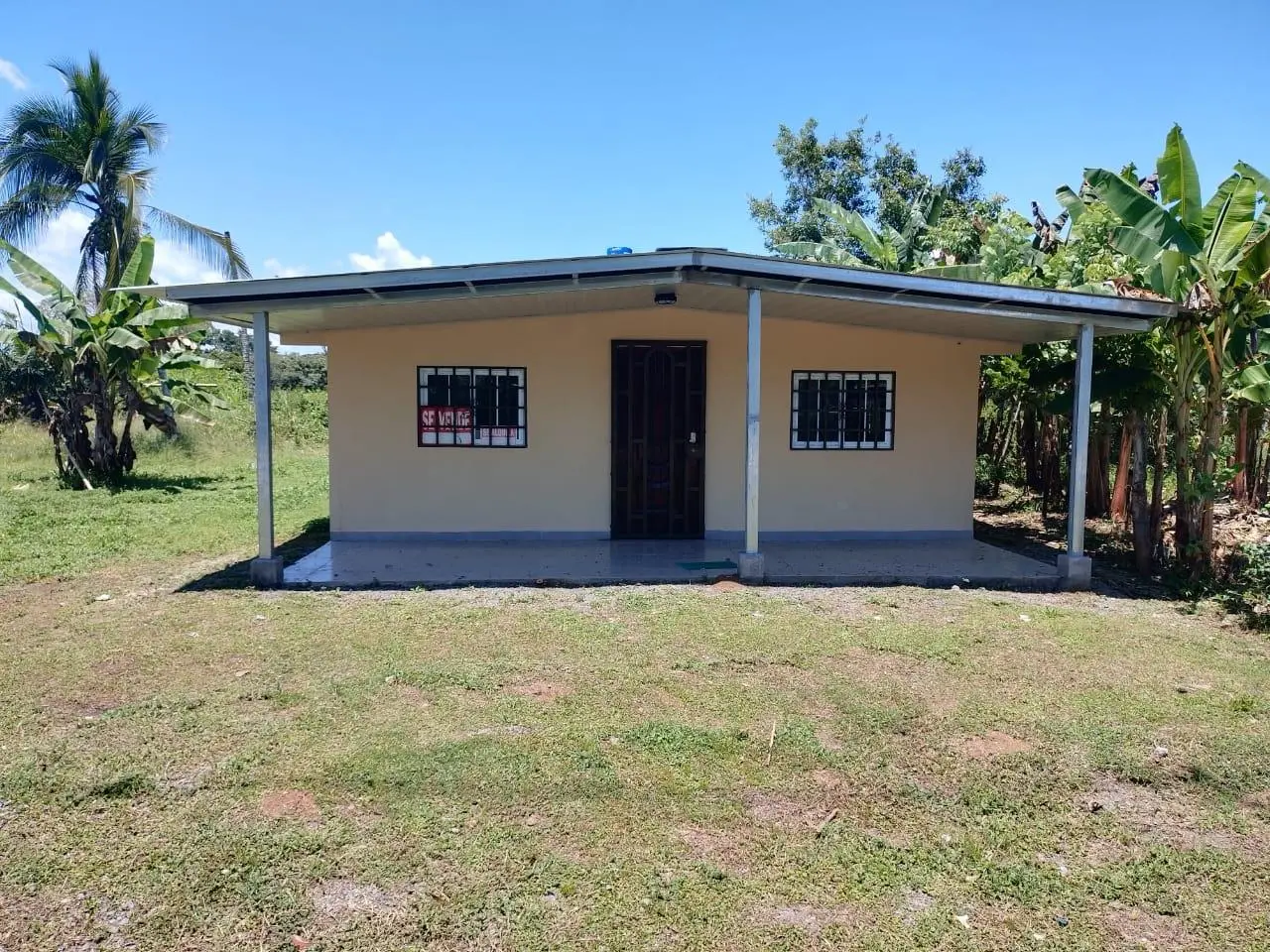 Veladero, David - Photo 9