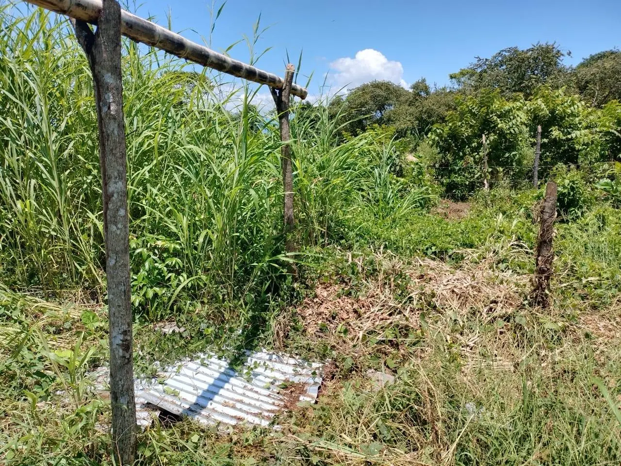 Veladero, David - Photo 54