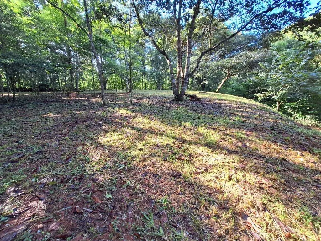 Finca 7 Via Limón #finca 7 - Photo 18