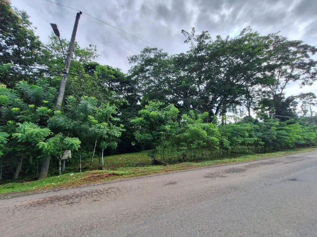 Finca 7 Via Limón #finca 7 - Photo 20