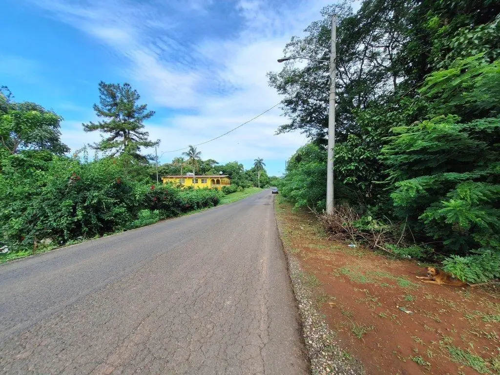 Finca 7 Via Limón #finca 7 - Photo 8