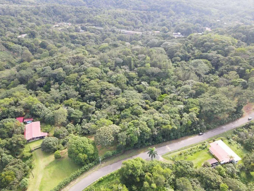 Finca 7 Via Limón #finca 7 - Photo 4