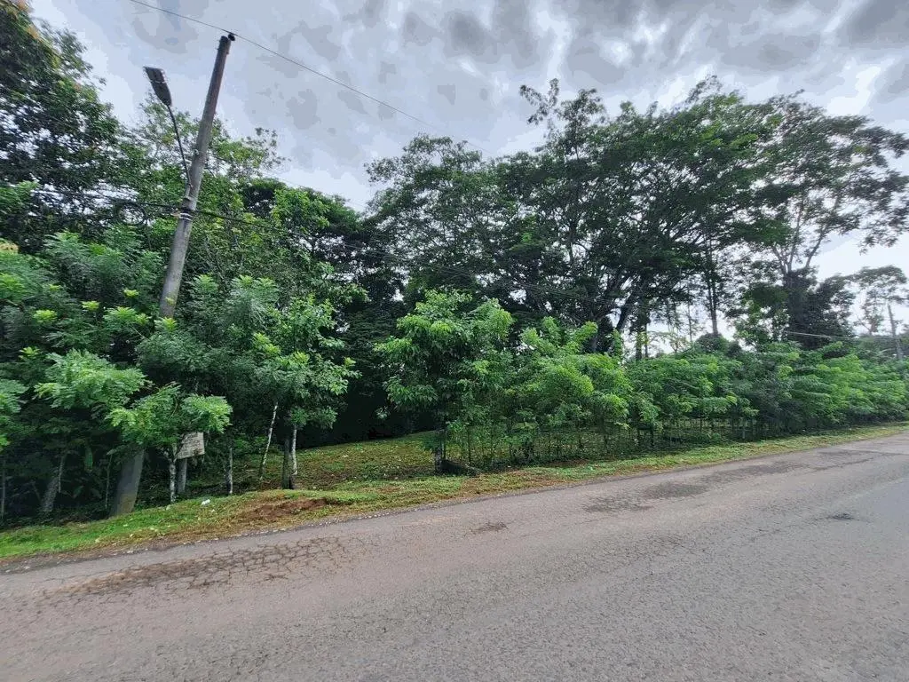 finca 7 via limón #finca 7