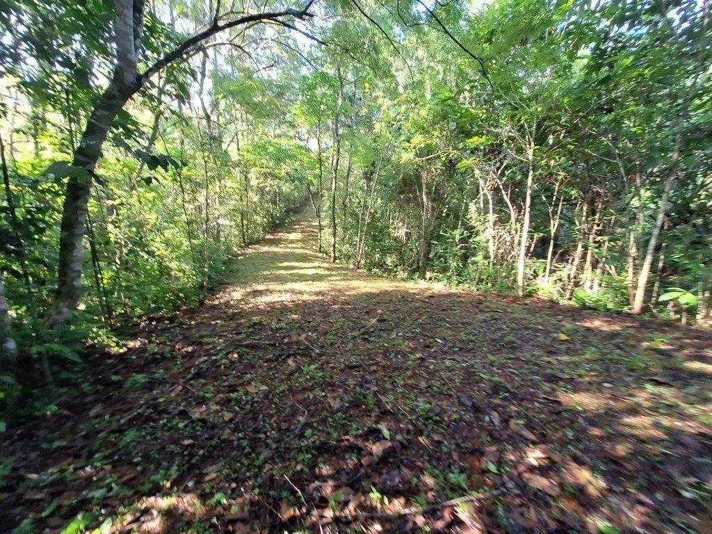 Finca 7 Via Limón #finca 7 - Photo 10