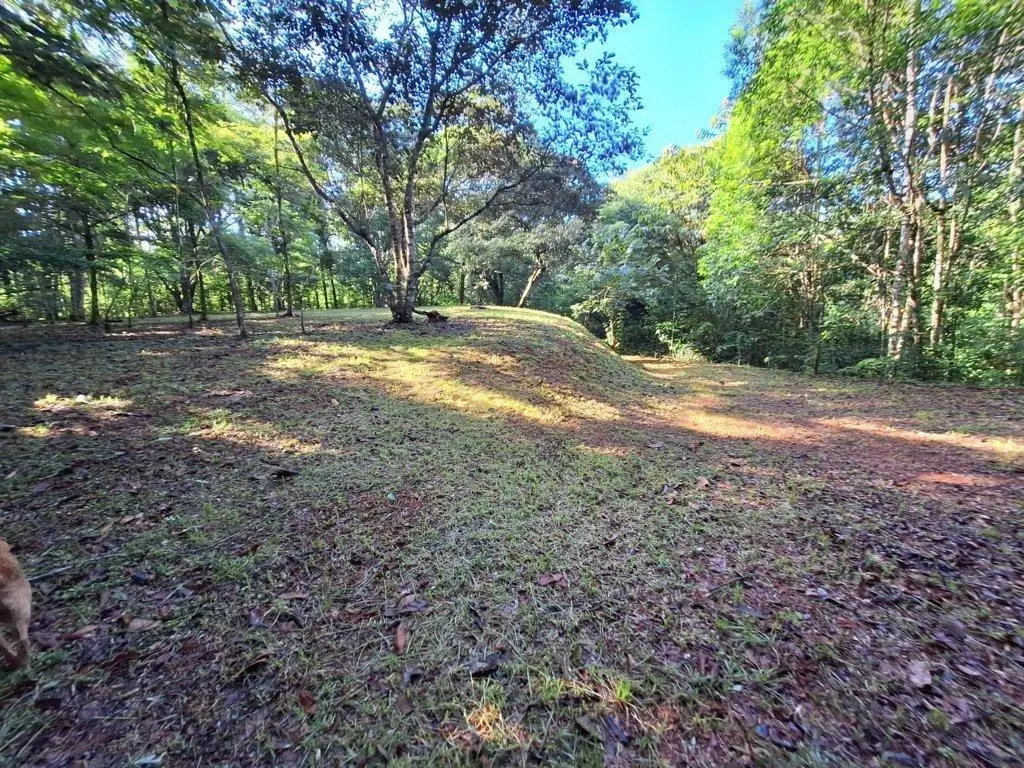 Finca 7 Via Limón #finca 7 - Photo 13