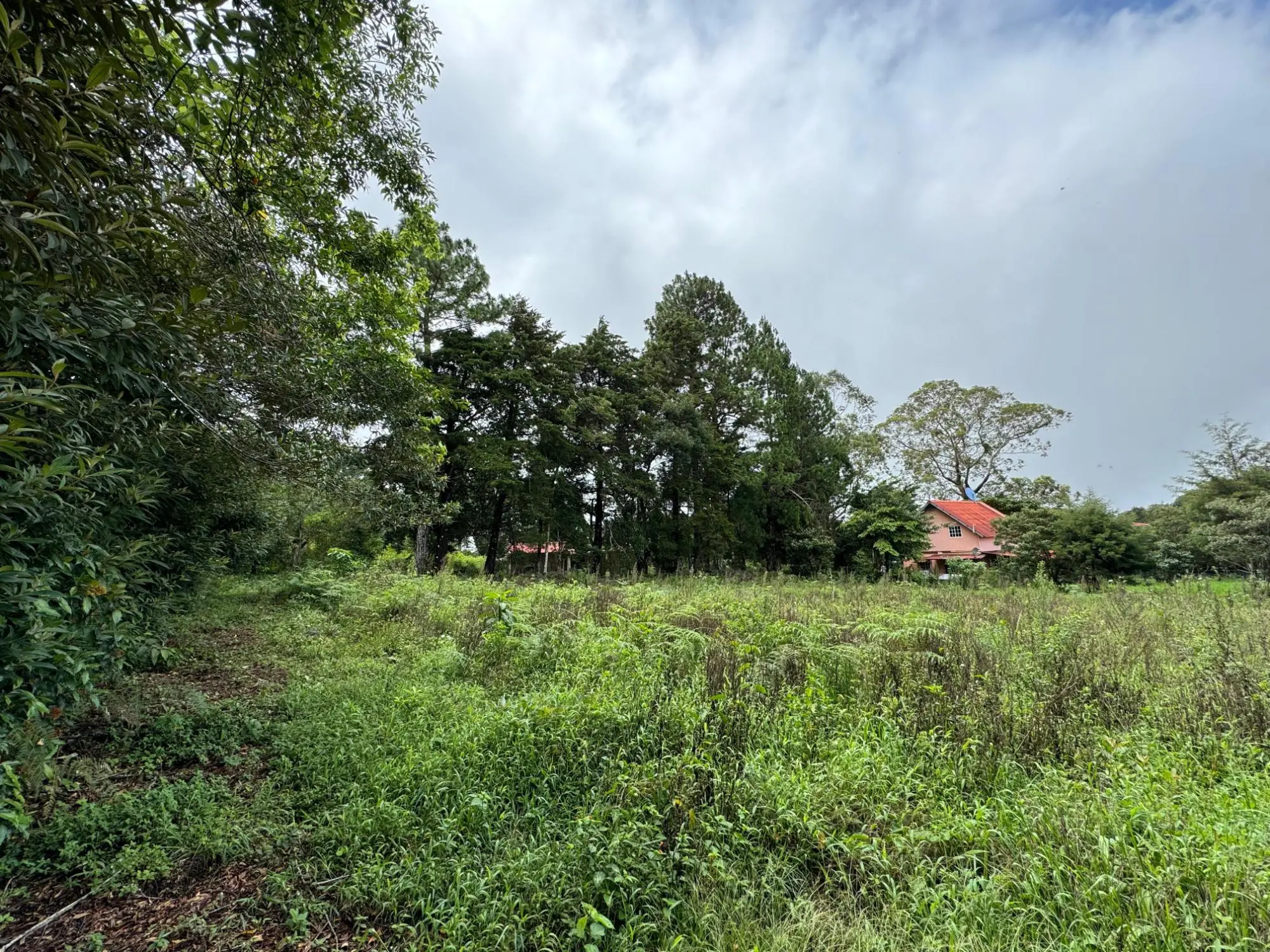 Jaramillo, Boquete - Photo 28