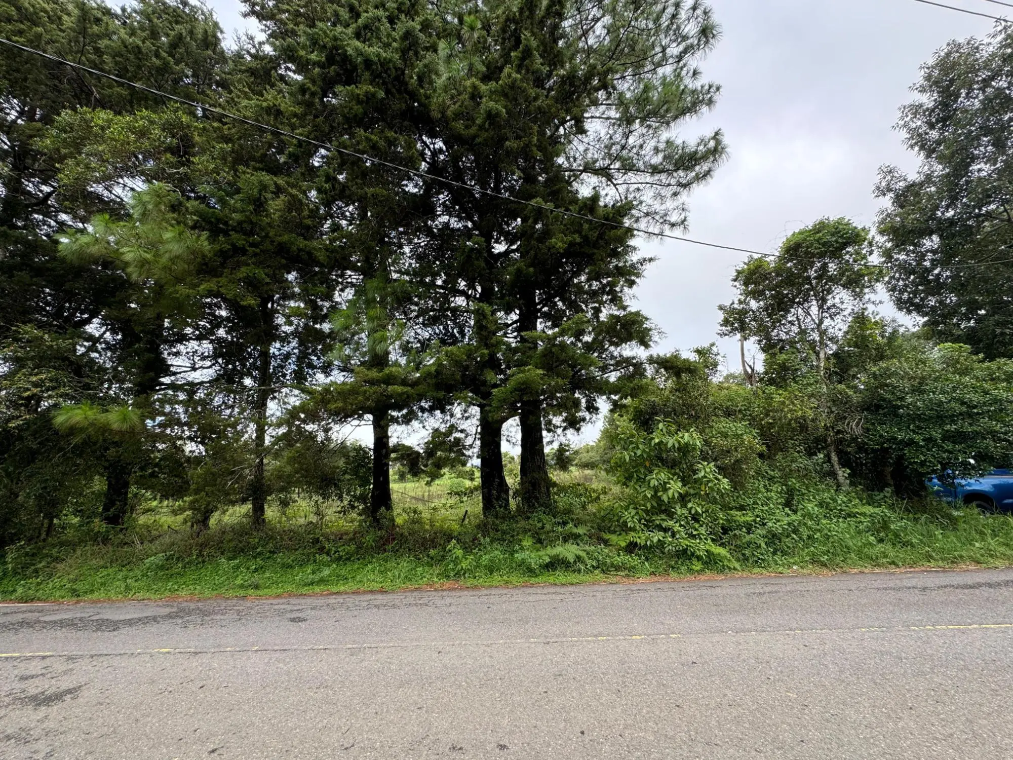 Jaramillo, Boquete - Photo 18