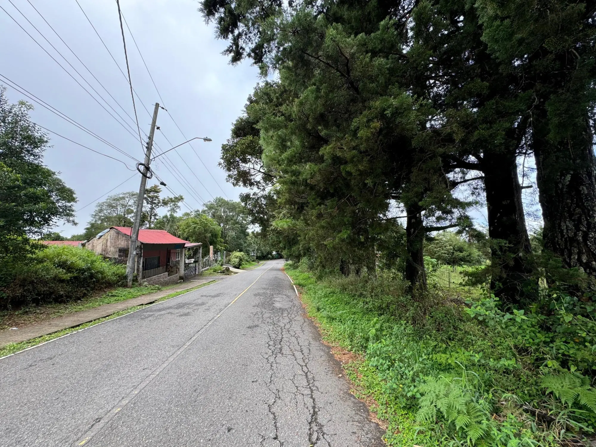 Jaramillo, Boquete - Photo 7