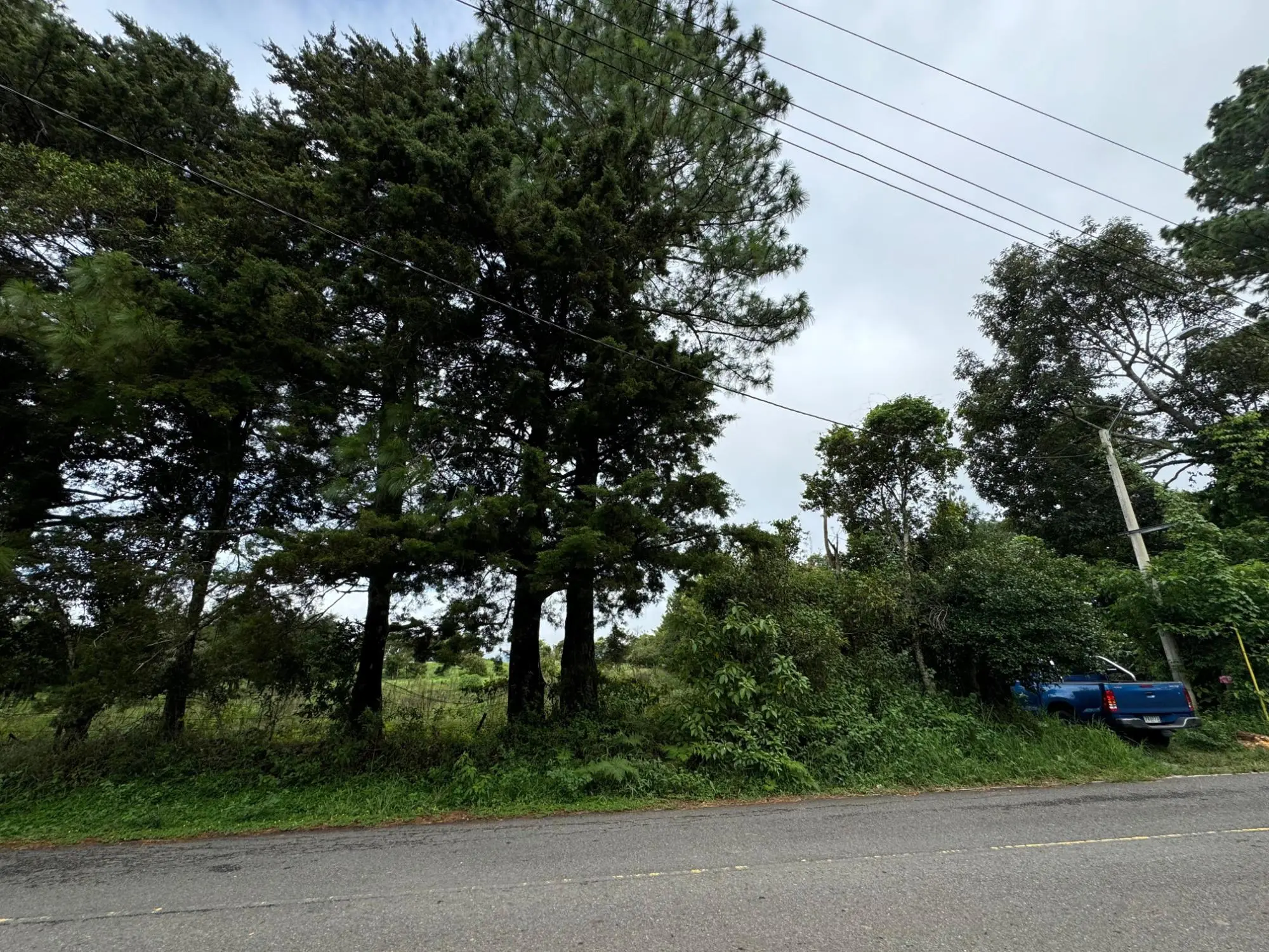 Jaramillo, Boquete - Photo 13