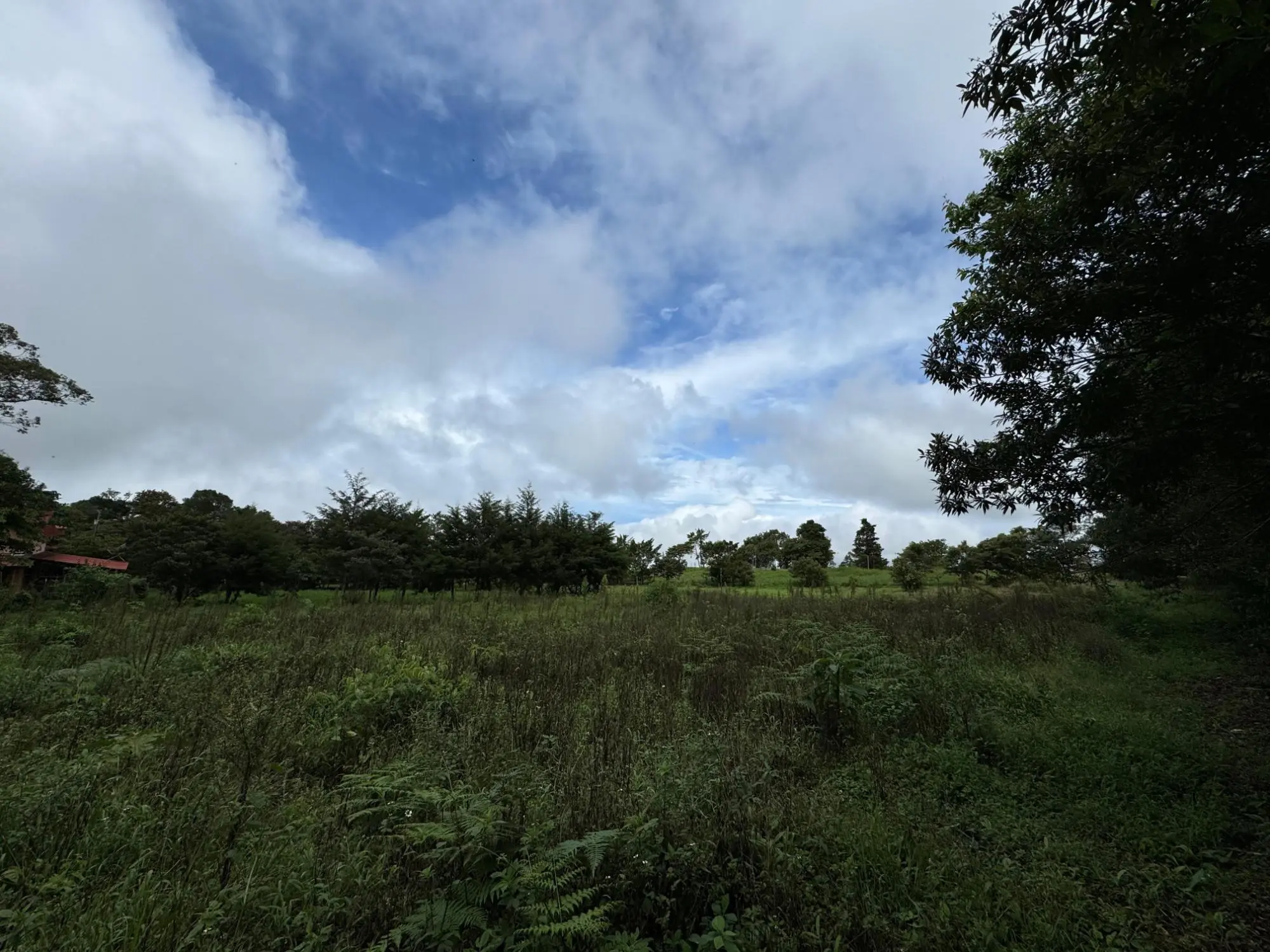 Jaramillo, Boquete - Photo 2