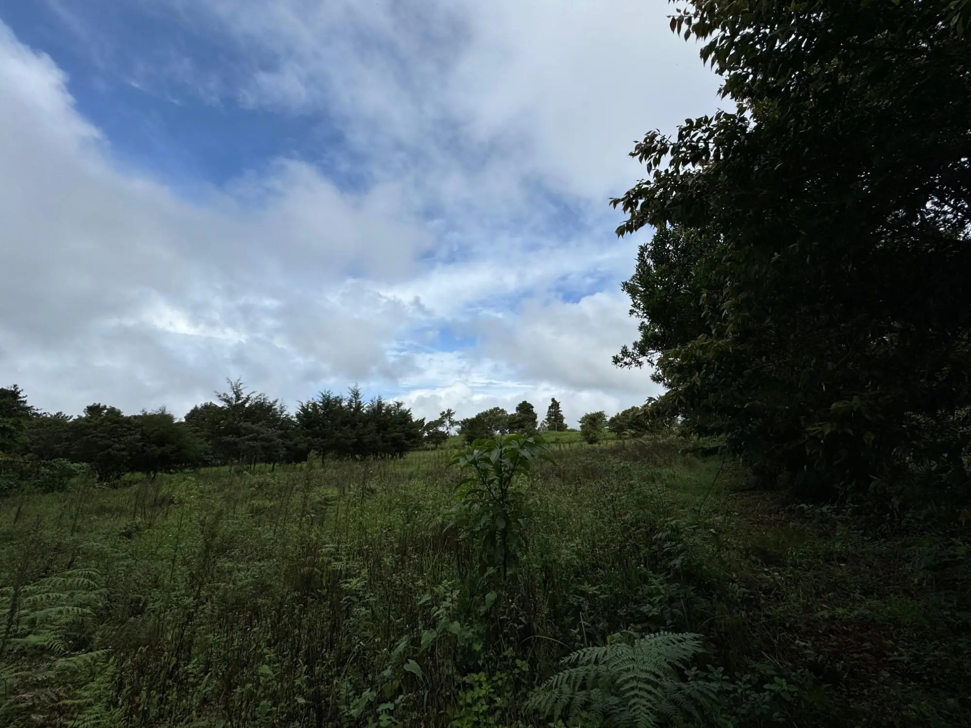 Jaramillo, Boquete - Photo 19