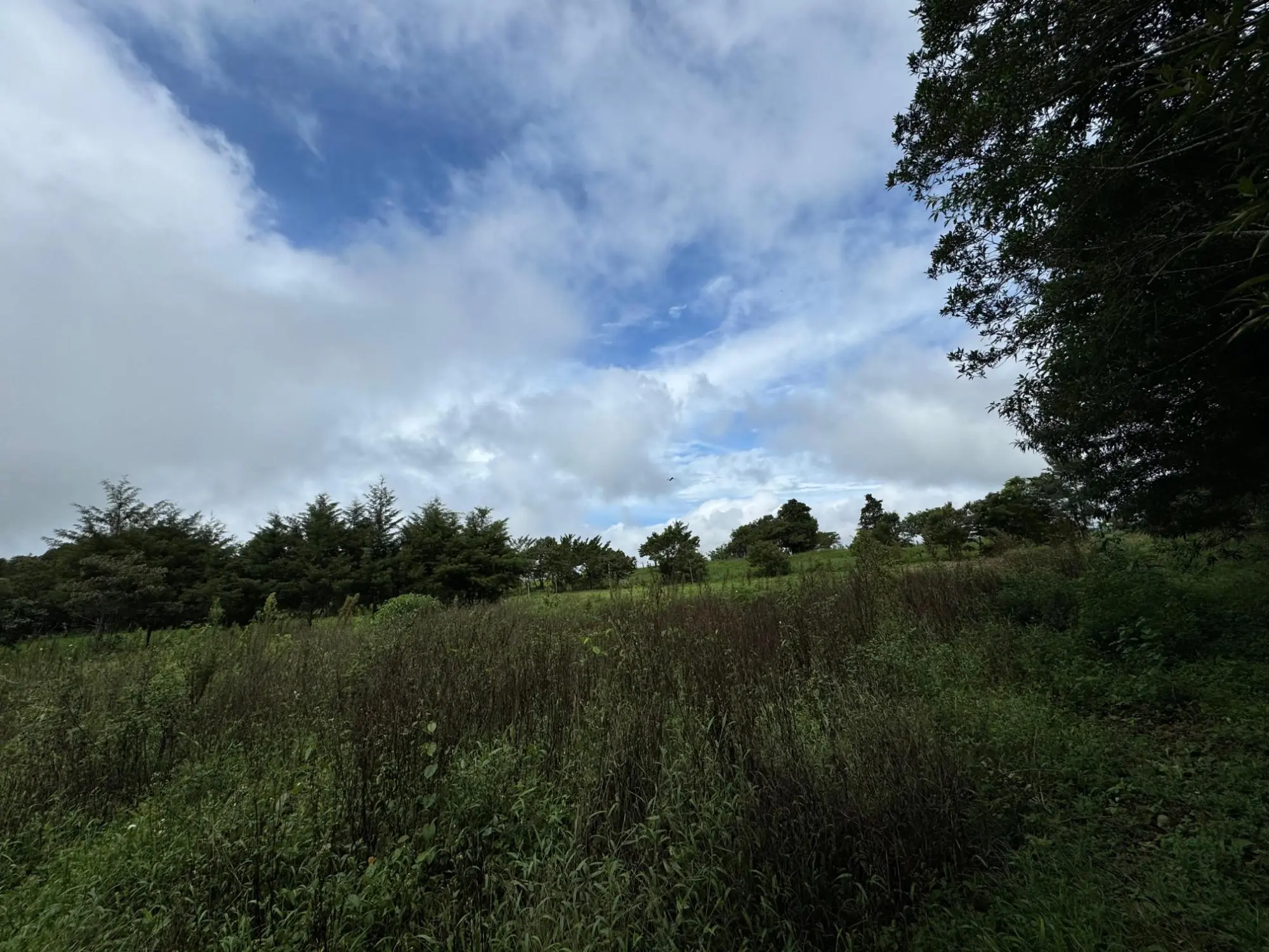 Jaramillo, Boquete - Photo 39