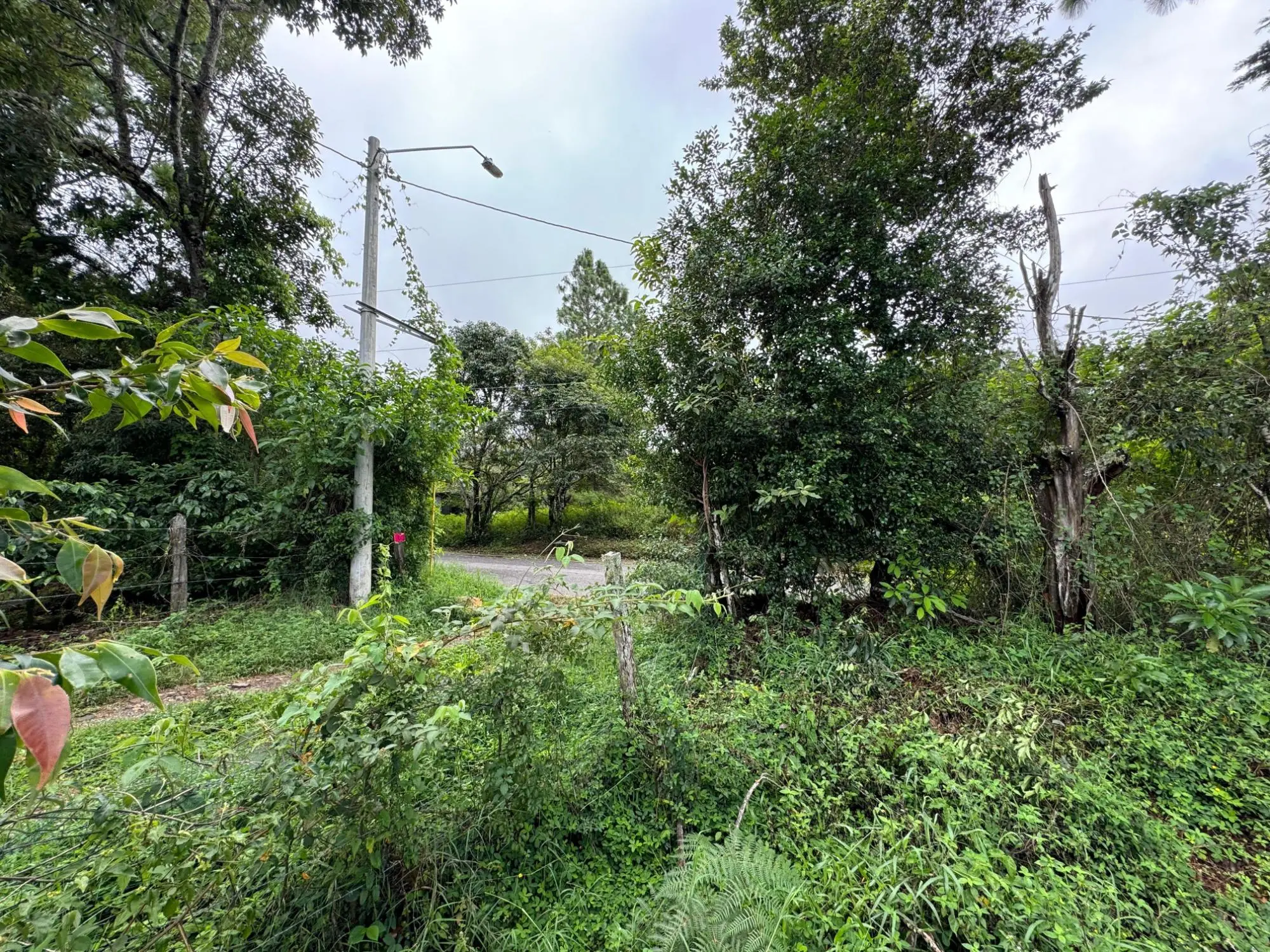 Jaramillo, Boquete - Photo 23