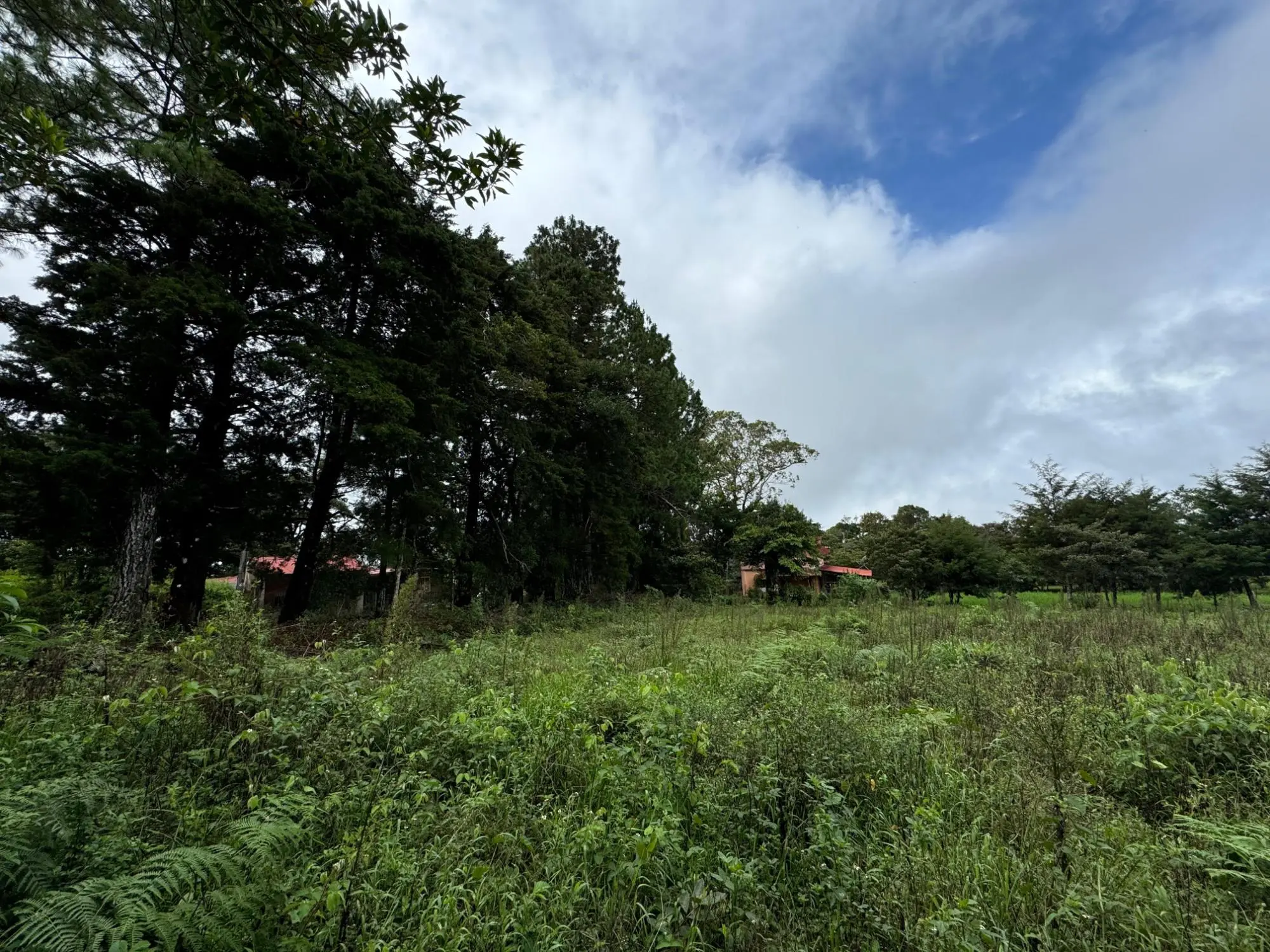 Jaramillo, Boquete - Photo 26