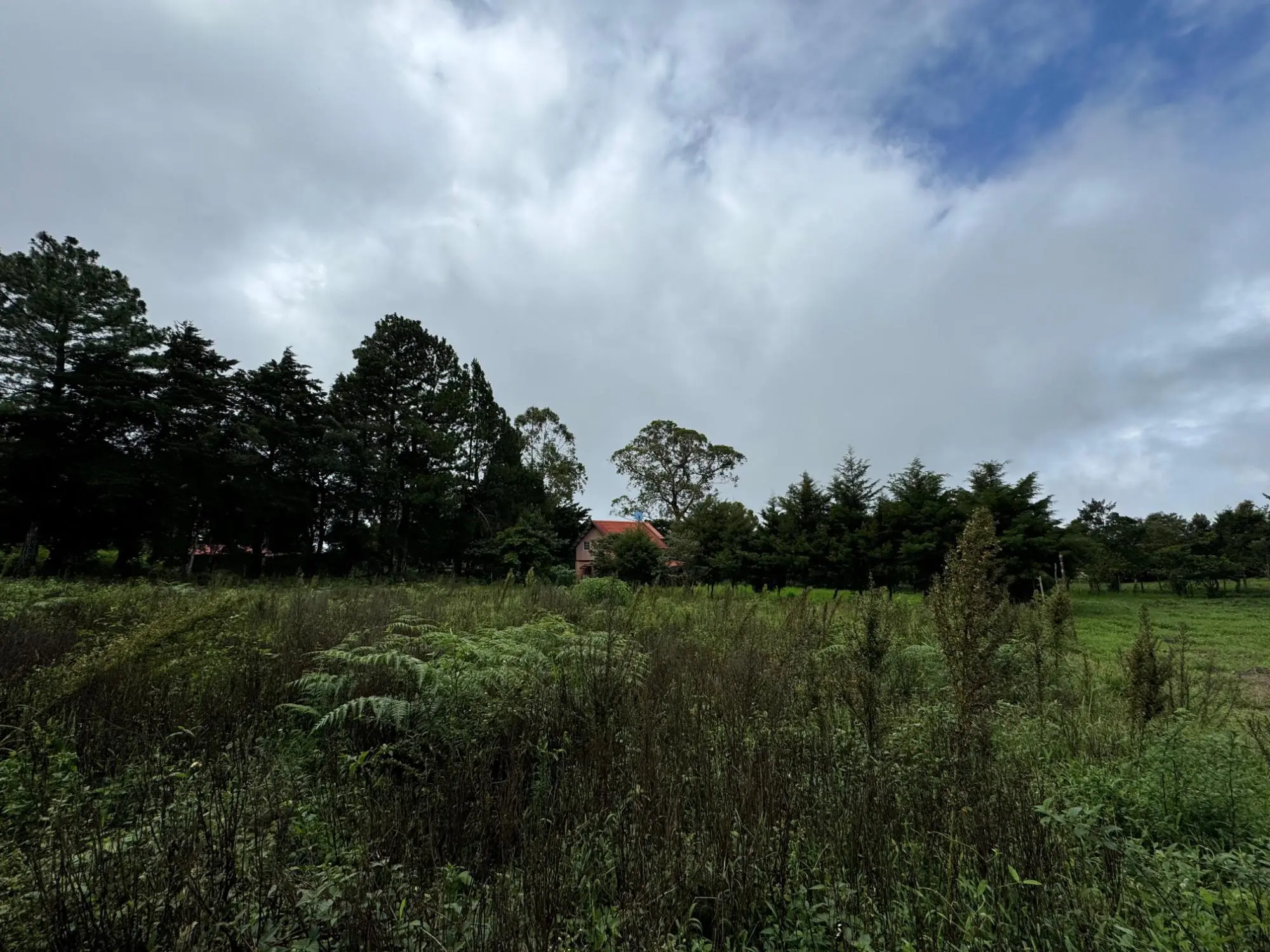 Jaramillo, Boquete - Photo 36