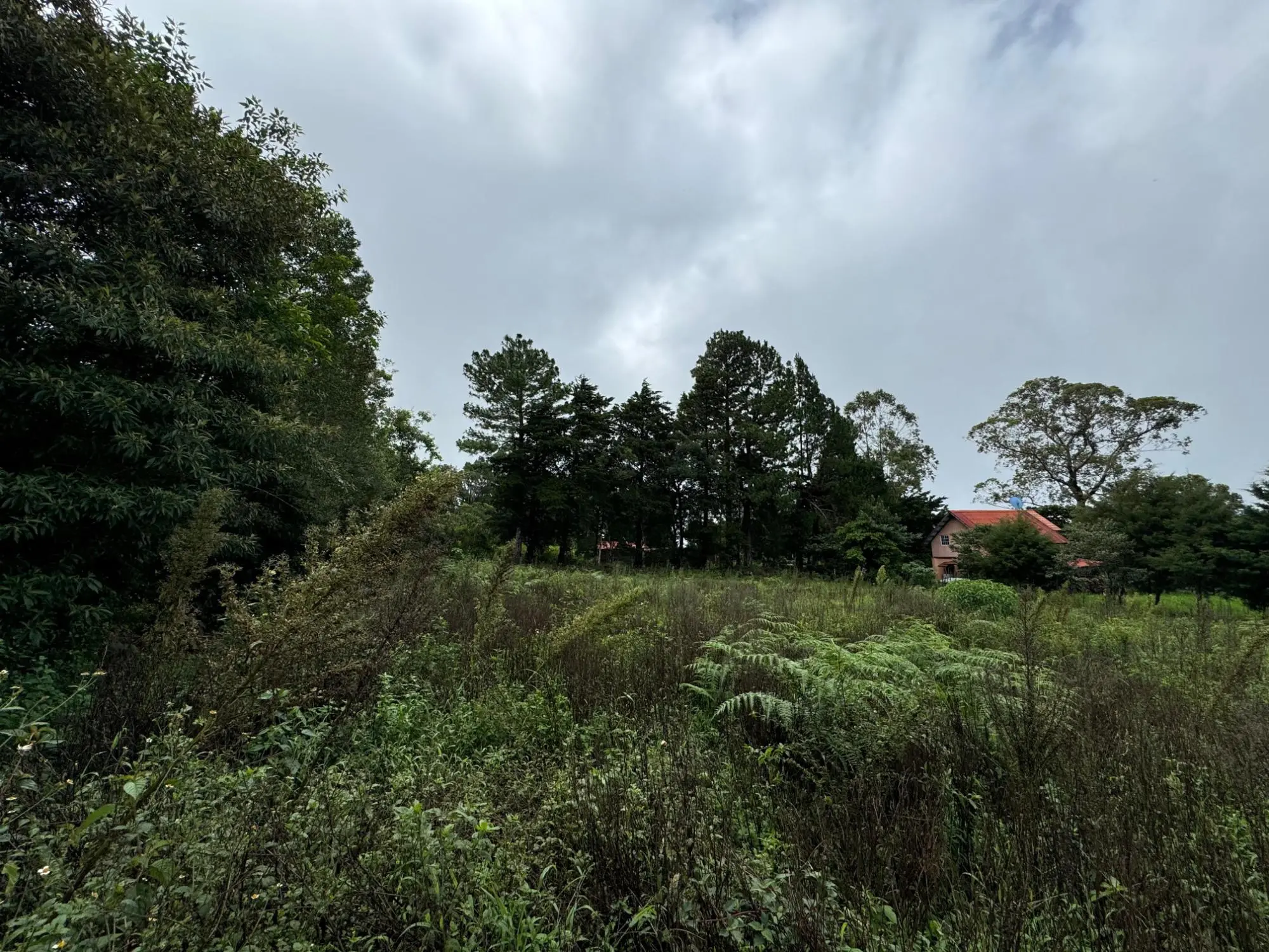 Jaramillo, Boquete - Photo 4