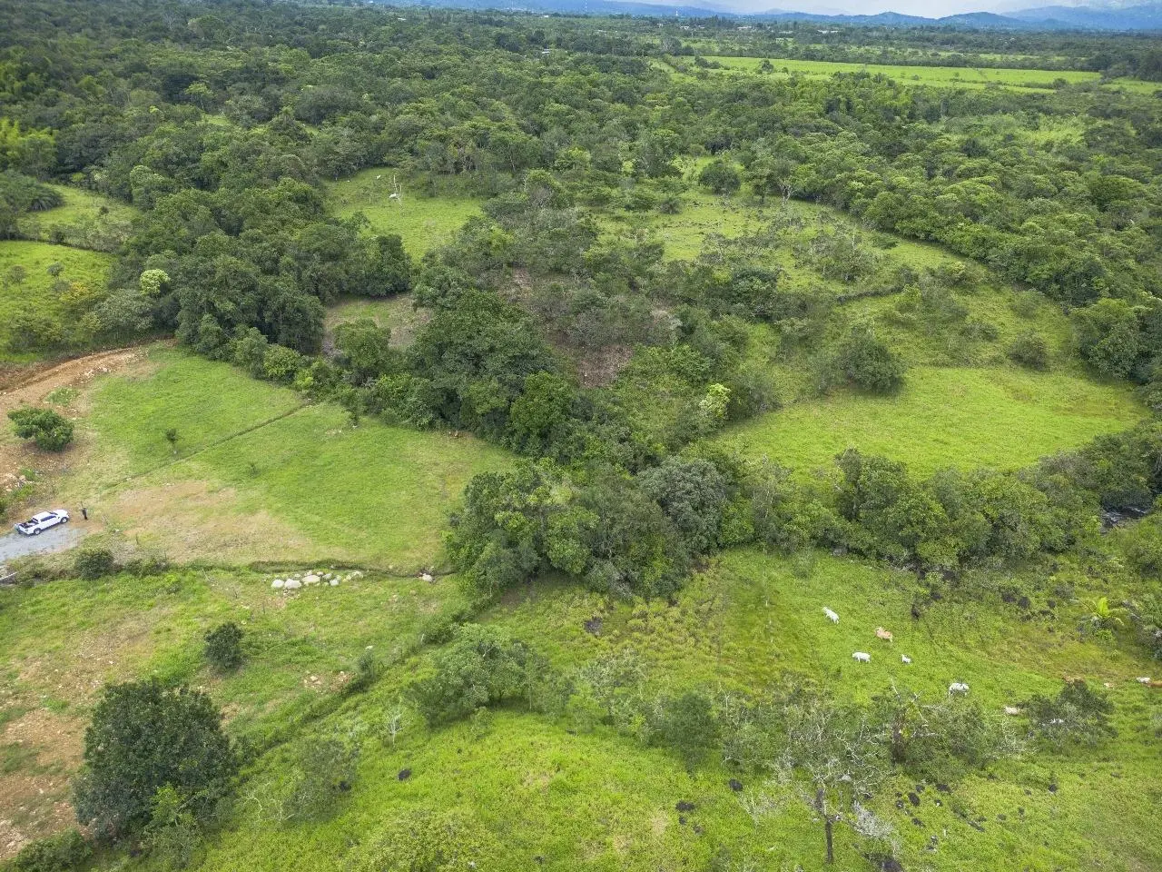 Potrerillos Abajo, Chiriqui - Photo 41