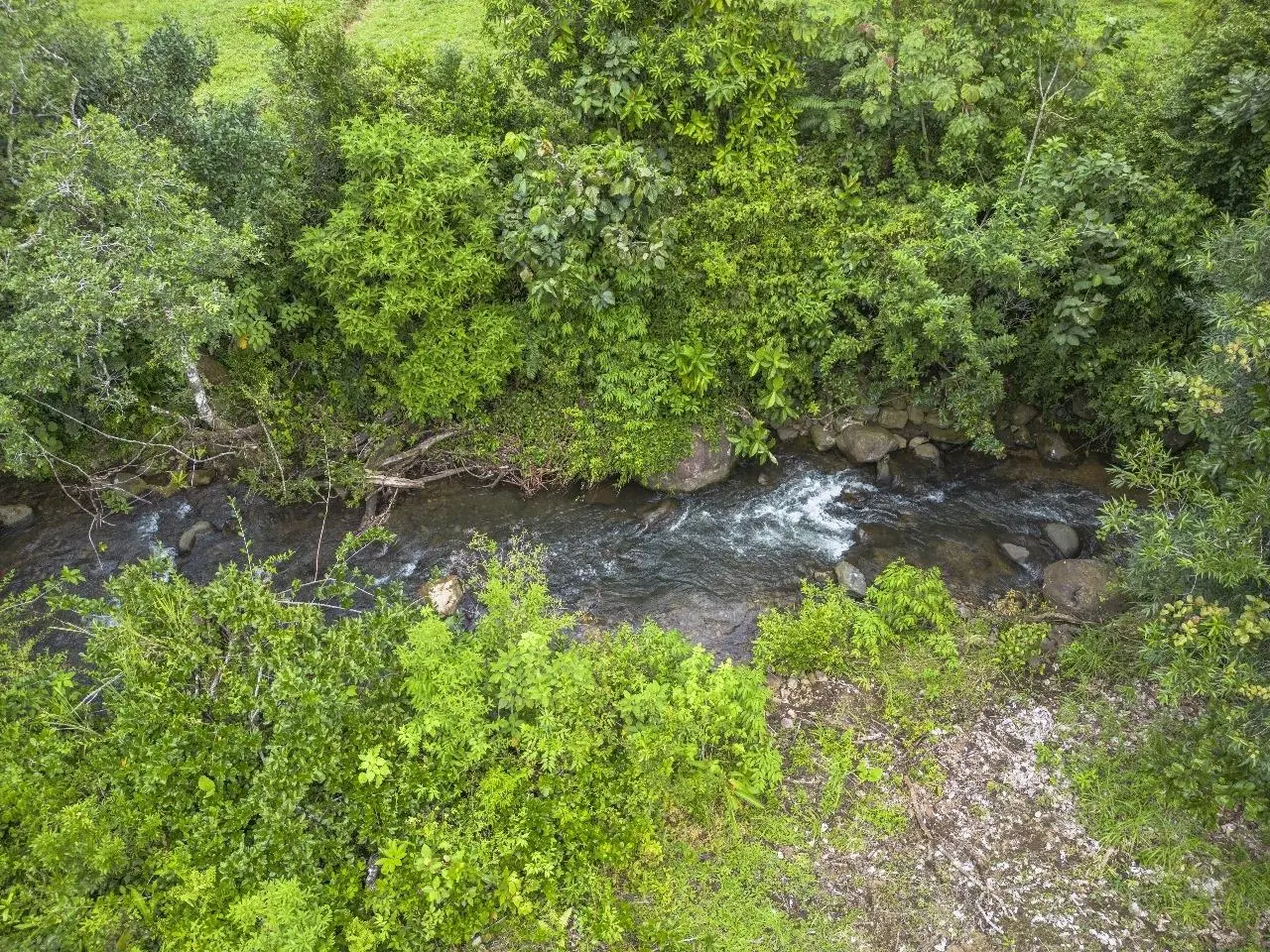 Potrerillos Abajo, Chiriqui - Photo 33