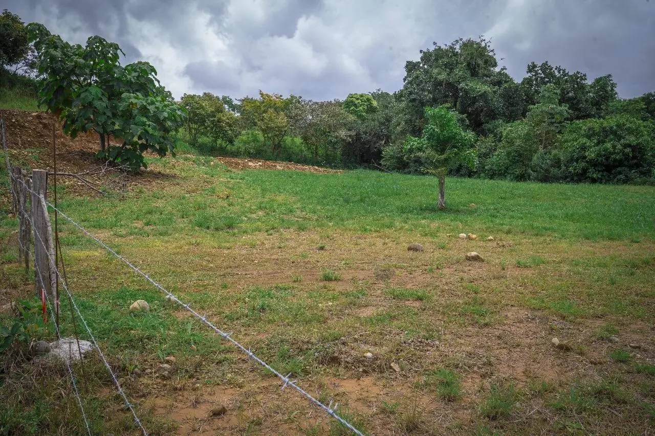 Potrerillos Abajo, Chiriqui - Photo 15