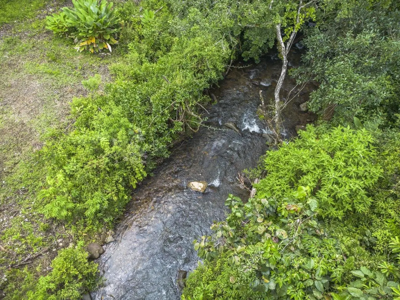 Potrerillos Abajo, Chiriqui - Photo 52