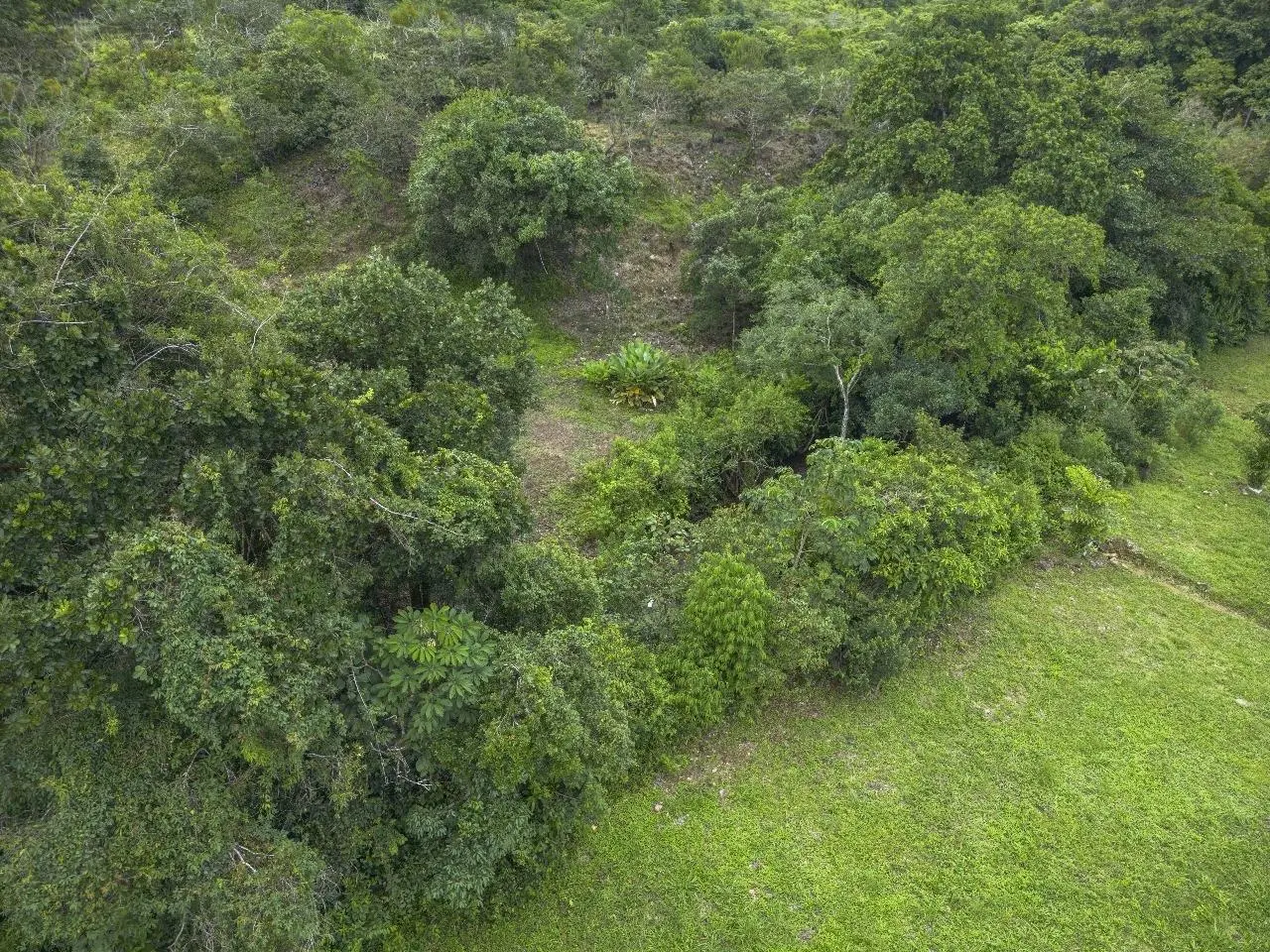 Potrerillos Abajo, Chiriqui - Photo 20
