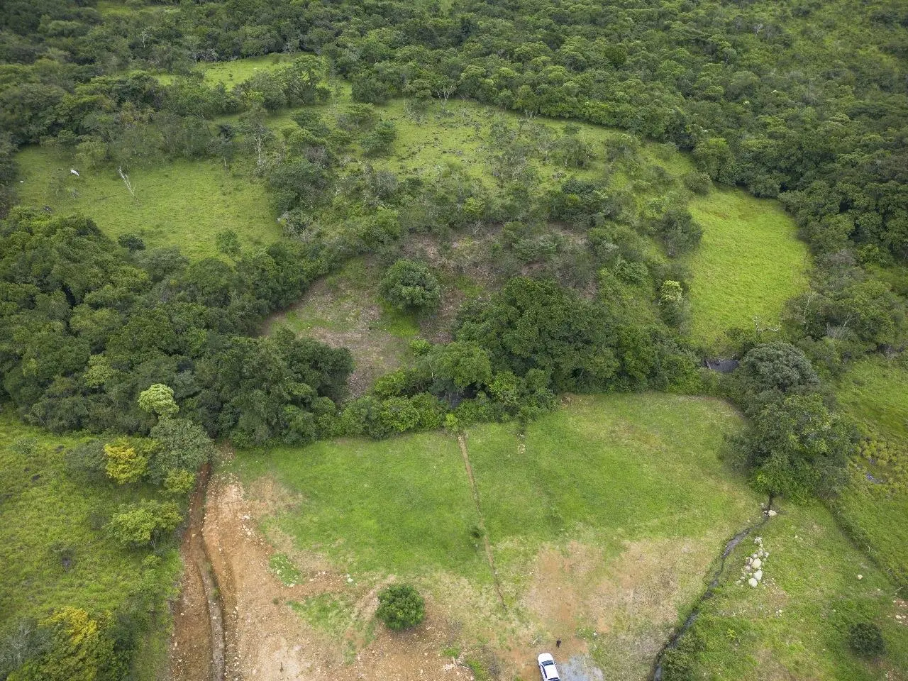 Potrerillos Abajo, Chiriqui - Photo 46