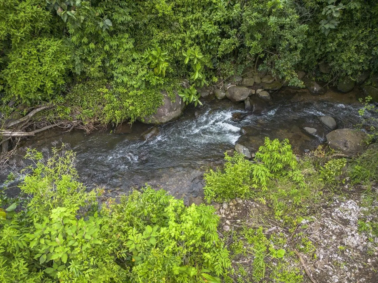 Potrerillos Abajo, Chiriqui - Photo 8