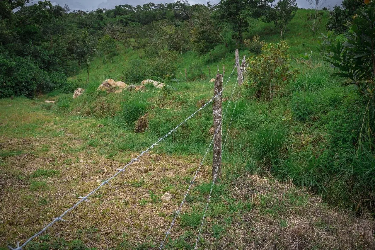 Potrerillos Abajo, Chiriqui - Photo 11