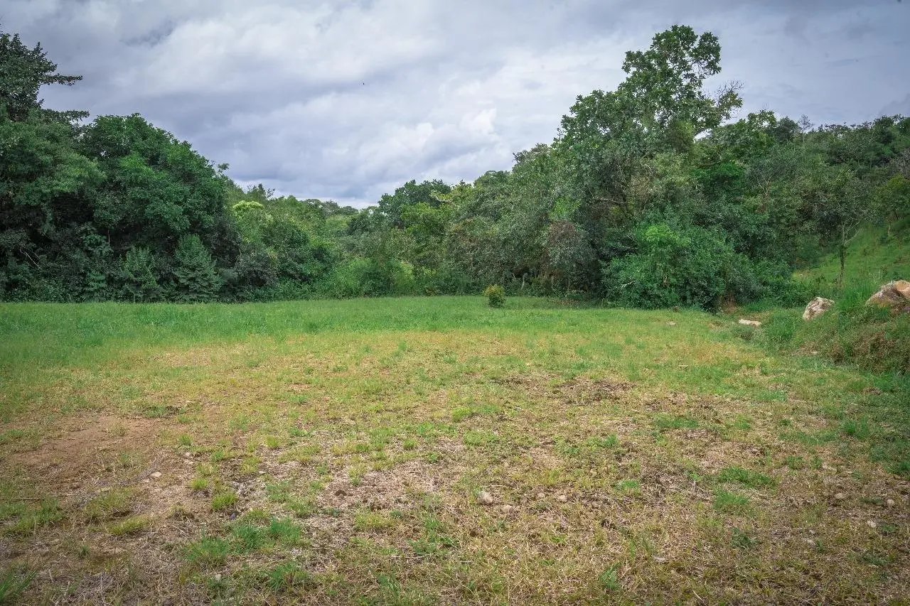 Potrerillos Abajo, Chiriqui - Photo 26