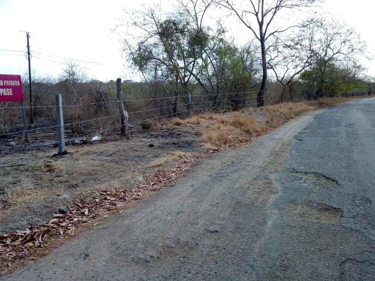 panamá oeste, cabuya distrito de chame antes de llegar a coronado #1