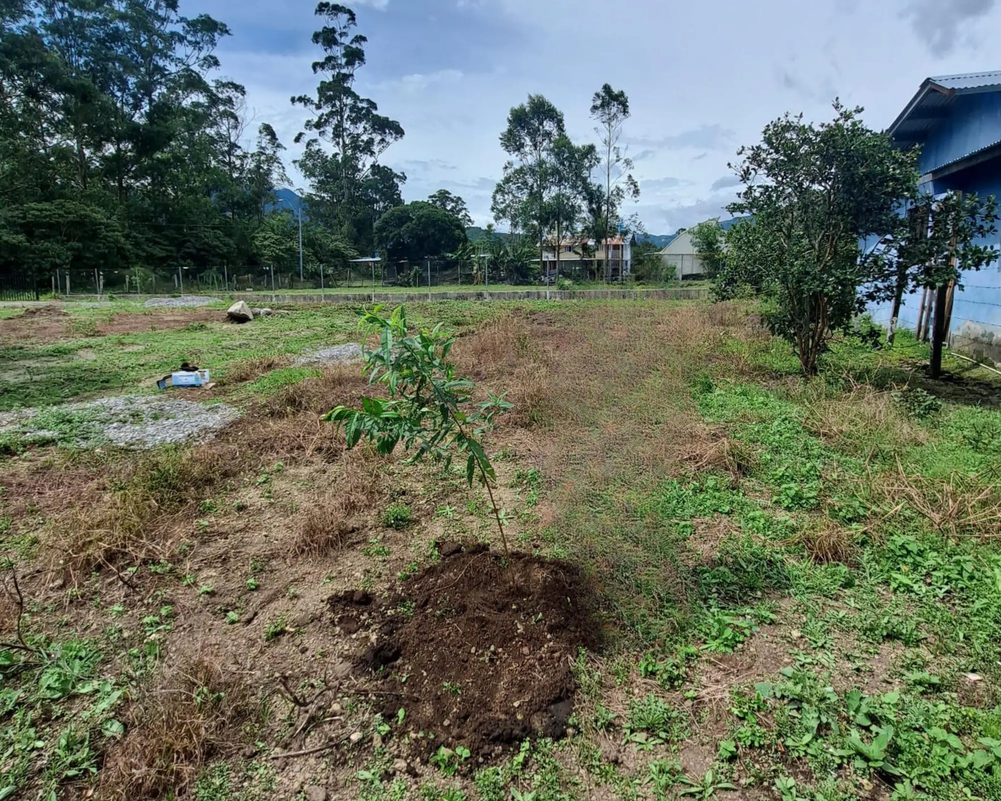 Nueva Californiva, Volcan #lot - Photo 15