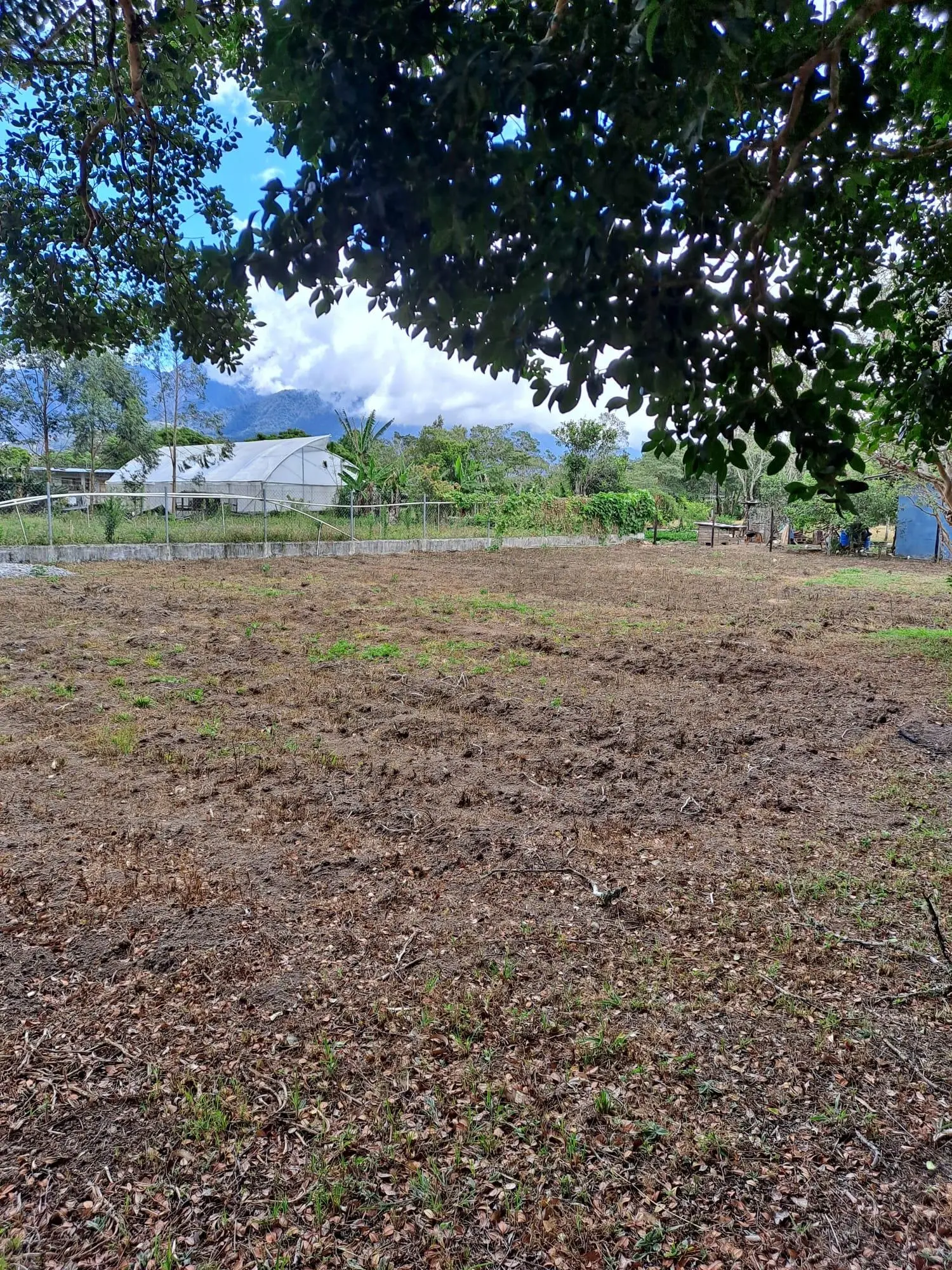 Nueva Californiva, Volcan #lot - Photo 11