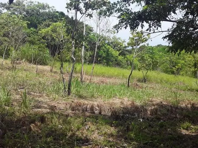 Copecito, El Espino, San Carlos, Panama Oeste, Finca/farm - Photo 39