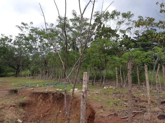 Copecito, El Espino, San Carlos, Panama Oeste, Finca/farm - Photo 19