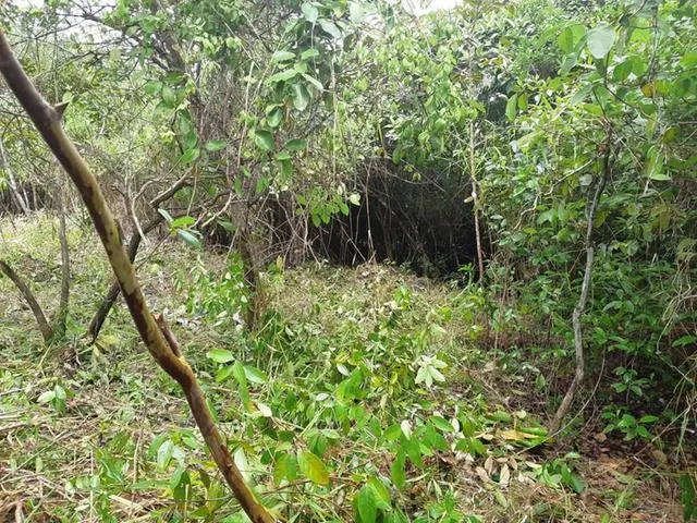 Copecito, El Espino, San Carlos, Panama Oeste, Finca/farm - Photo 23