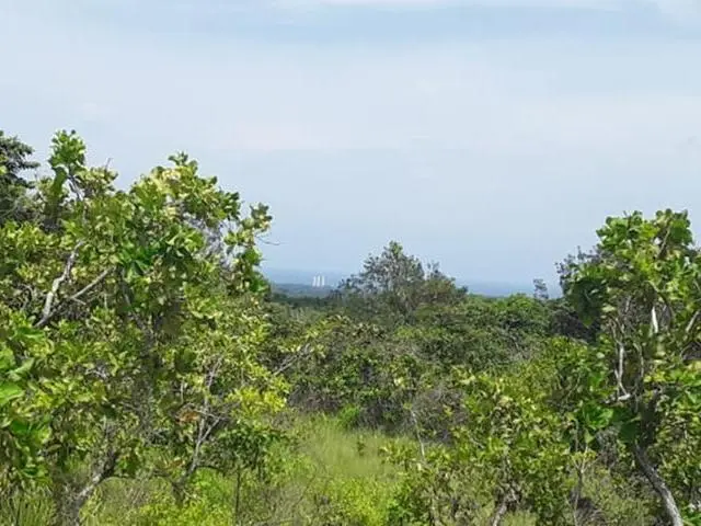 Copecito, El Espino, San Carlos, Panama Oeste, Finca/farm - Photo 13