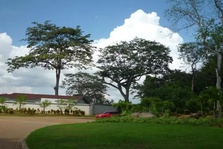 La Chorrera, Correg. Puerto Caimito, The Hills Summer Hills #15 - Photo 100