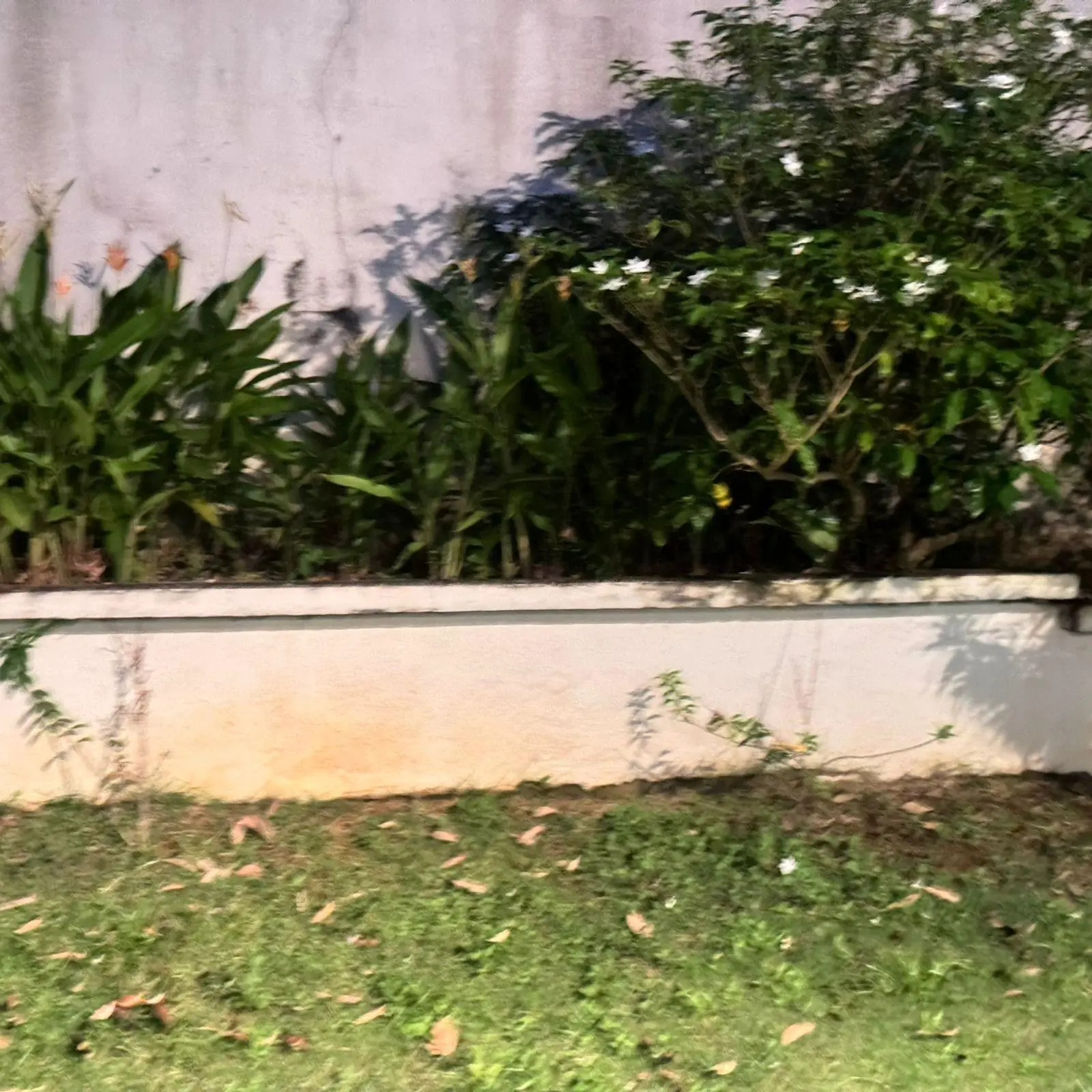 La Chorrera, Correg. Puerto Caimito, The Hills Summer Hills #15 - Photo 40