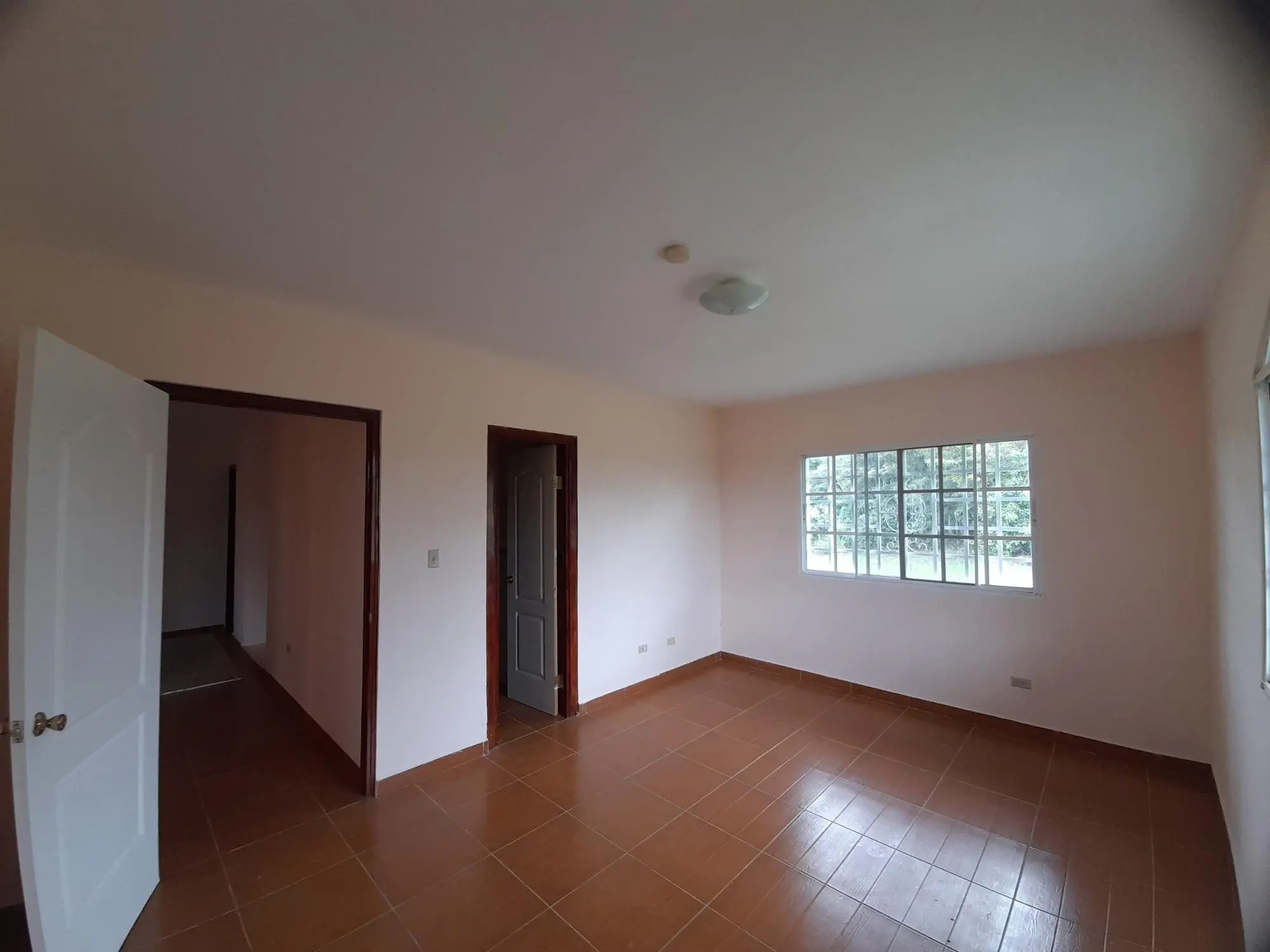 Alto Boquete - Photo 19