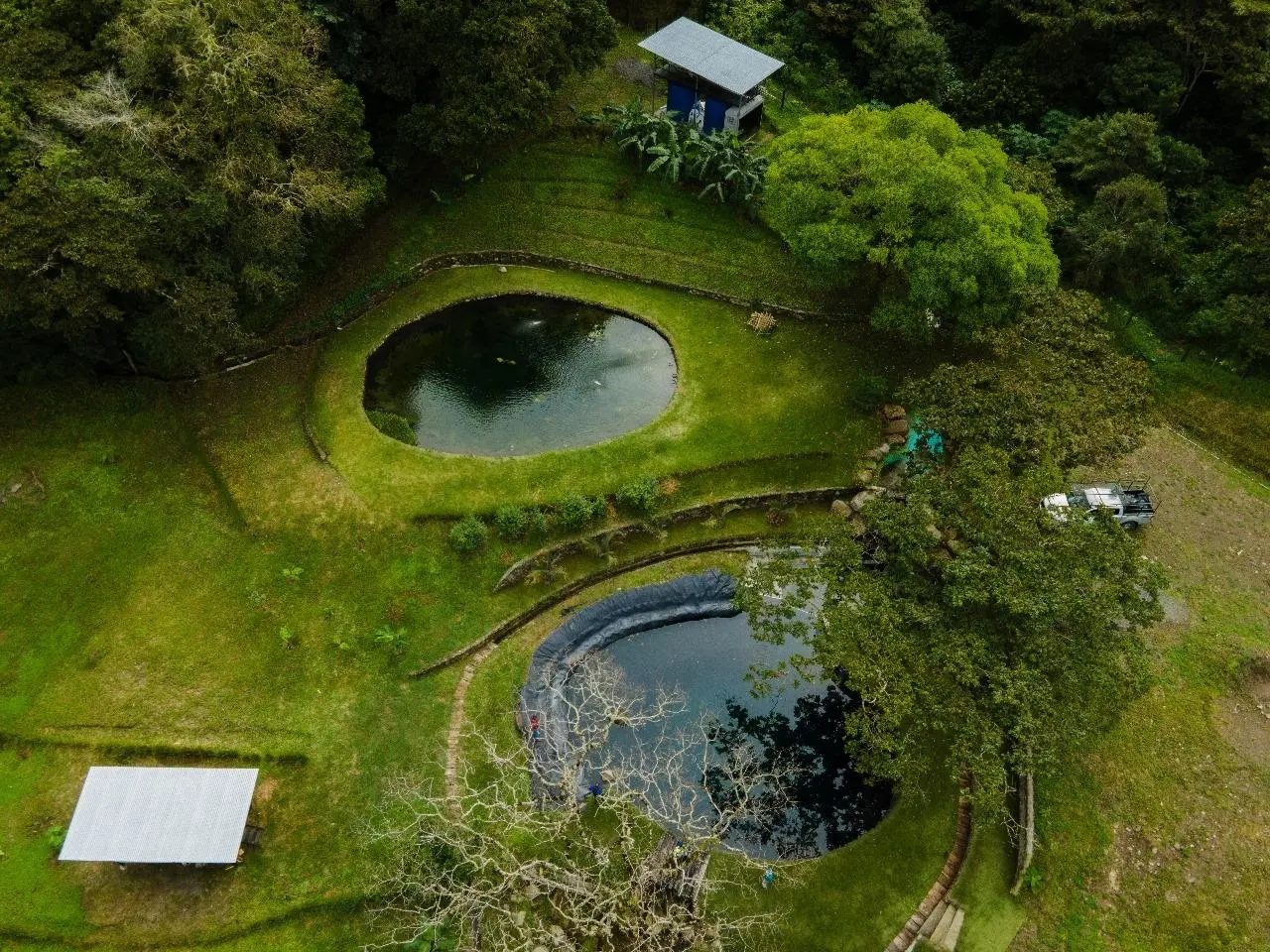 Volcan Panama - Photo 58
