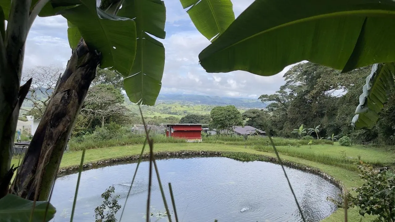 Volcan Panama - Photo 83
