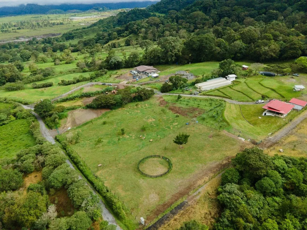 Volcan Panama - Photo 76