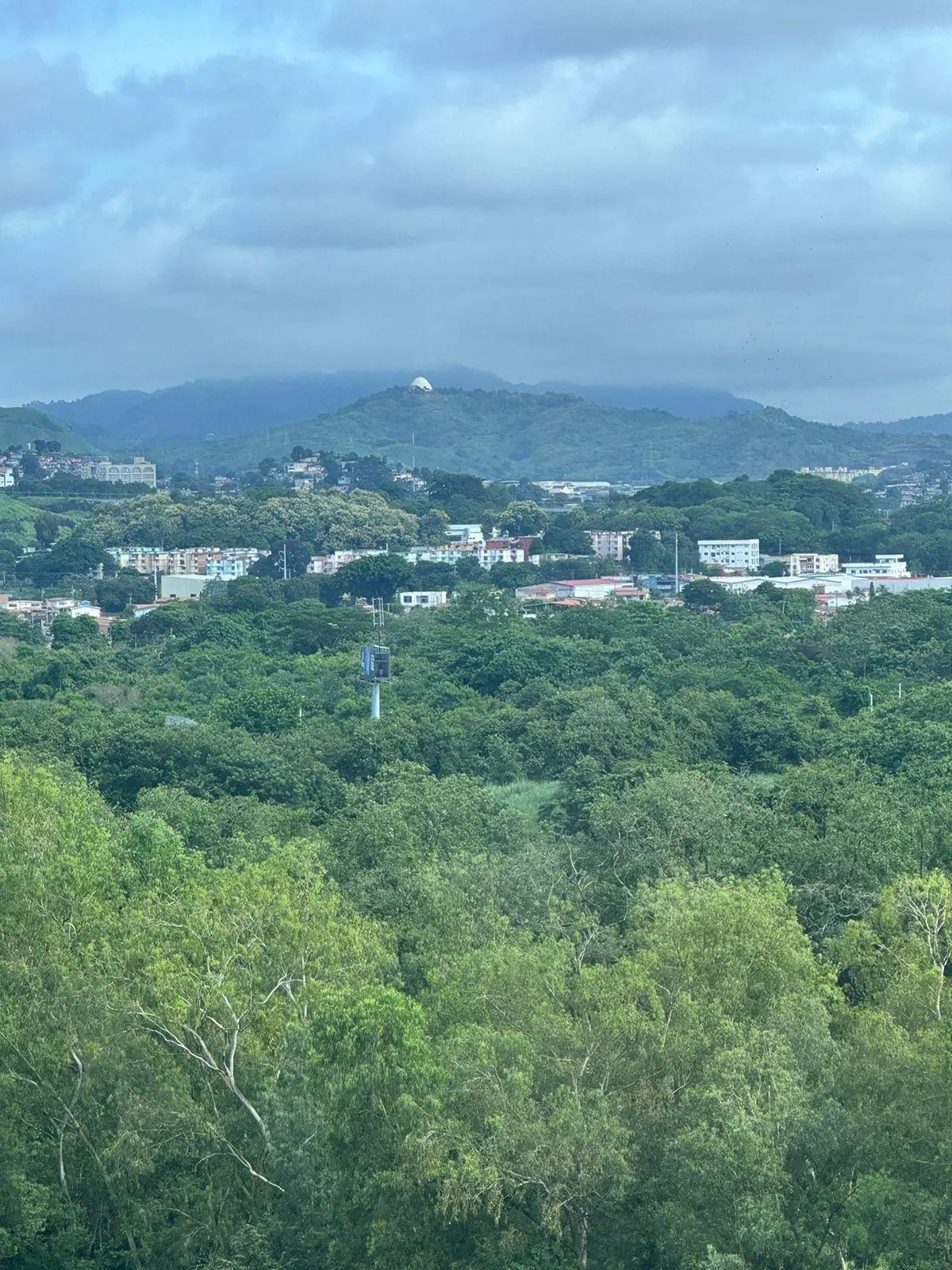 Costa Del Este #12a - Photo 13