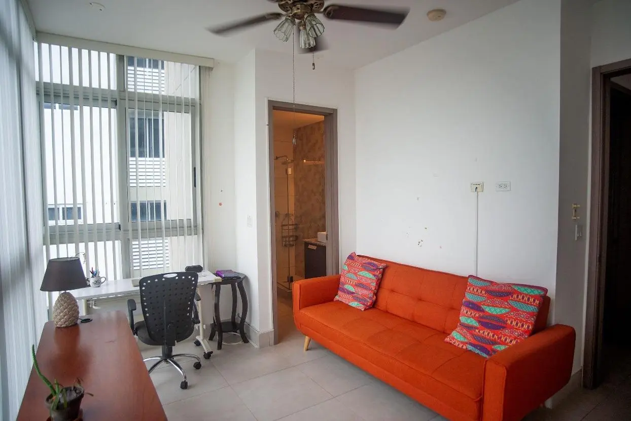 Calle Erick Del Valle, El Cangrejo #39b - Photo 35