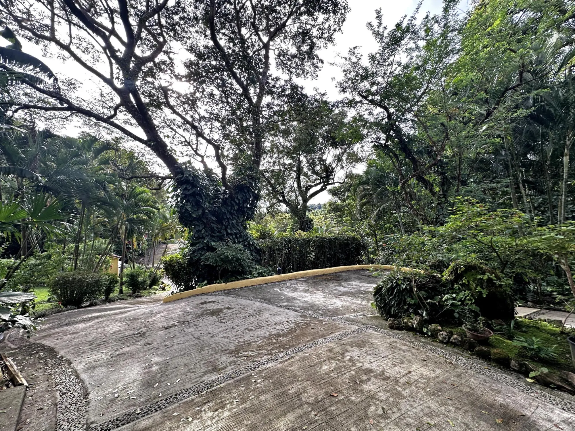 152 Paseo Florencia #152 - Photo 2